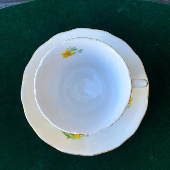 Royal Kent Daffodil Tea Cup and Saucer Bone China - Picture 7 of 10